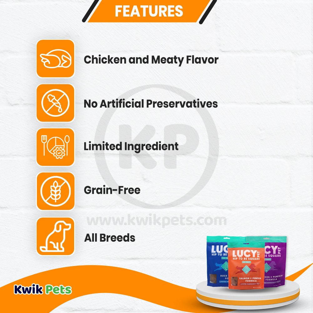 Lucy Pet Products Hip to Be Square Limited Ingredient Dog Treats Duck & Pumpkin 6-oz, Kwik Pets