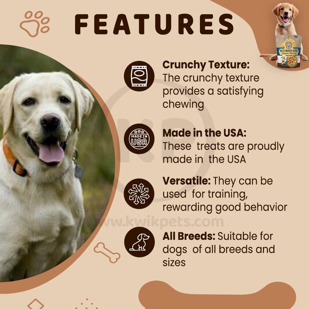 Features of Exclusively Pet Best Buddy Bits Tranning Dog Treats Cheese 5.5-oz
