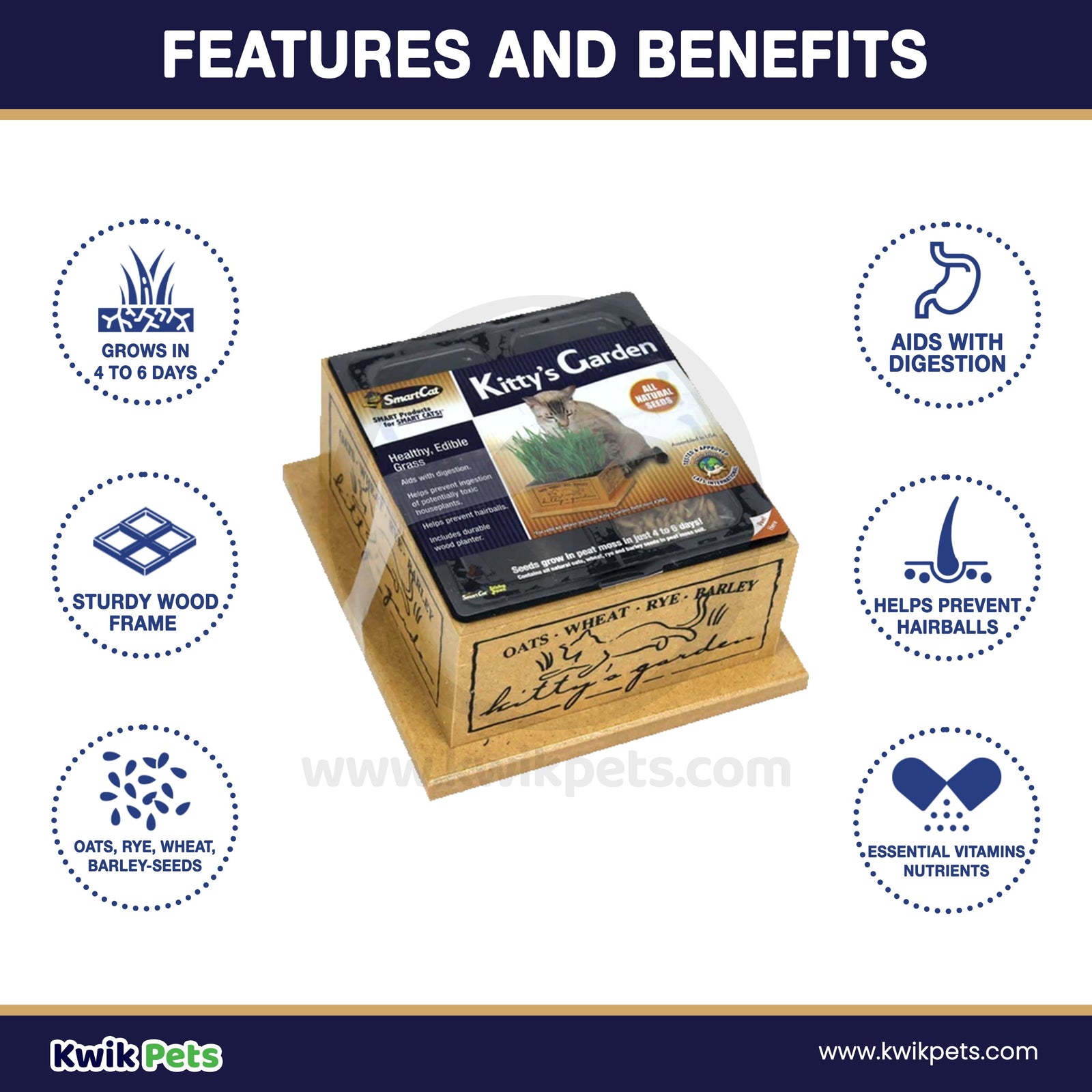 Features and Benefits - Pioneer Pet SmartCat Kitty's Garden Edible Grass Planter