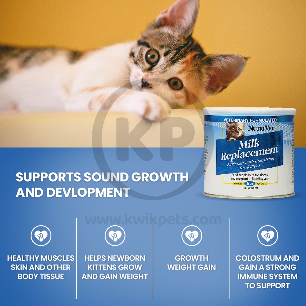 Nutri-Vet Kitten Milk Replacement Powder 6oz, Nutri-Vet