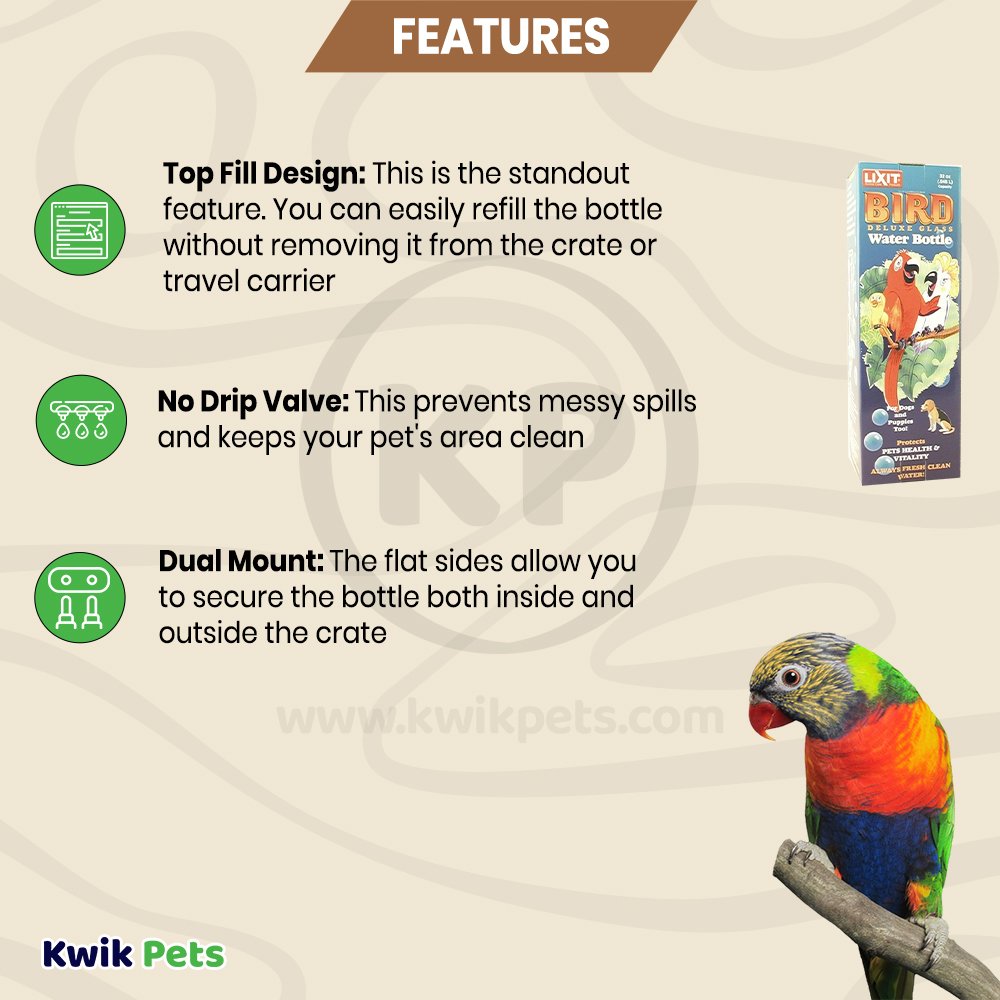 Lixit Glass Bottle with Holder Clear Silver, Kwik Pets