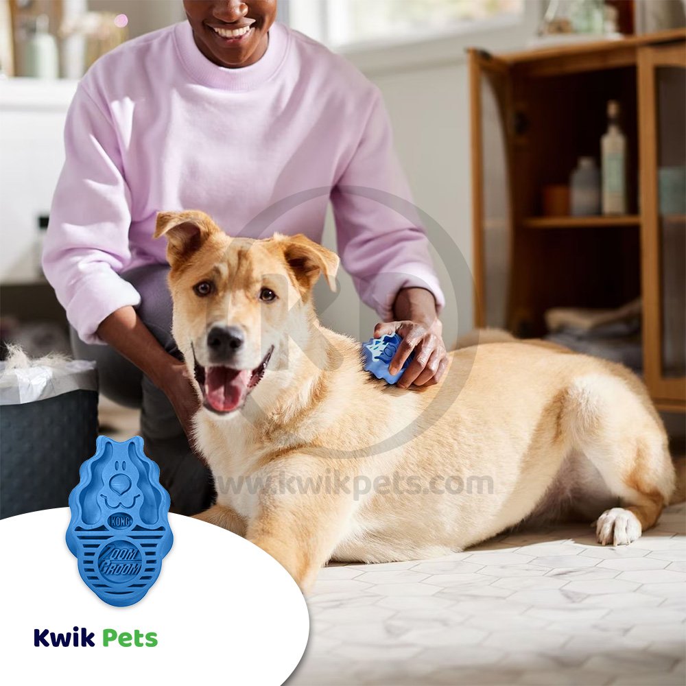 Buy KONG Zoomgroom Rubber Dog Brush Boysenberry