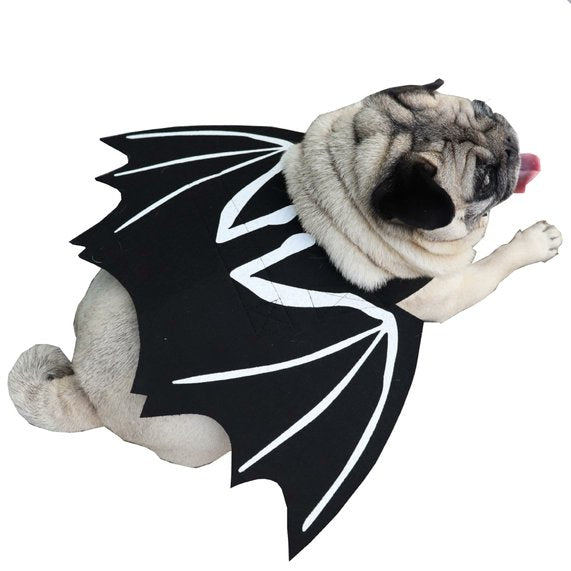 PAWPAWwholesale Halloween Bat Wing Dog & Cat Costume Cape Black Medium