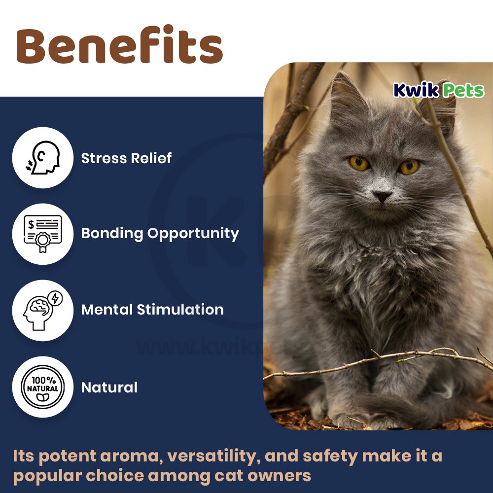 Benefits of OurPets Cosmic 100% Natural Catnip Jar 1.25-oz