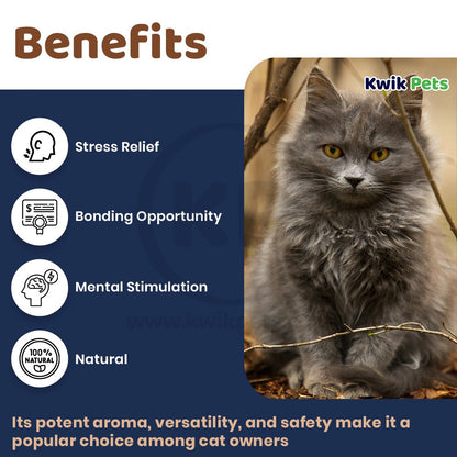 Benefits of OurPets Cosmic 100% Natural Catnip Jar 1.25-oz