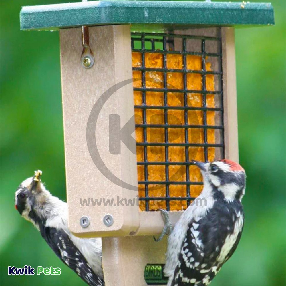 C&S Hot Pepper Delight No Melt Suet Dough for Wild Birds 11.75-oz, Kwik Pets