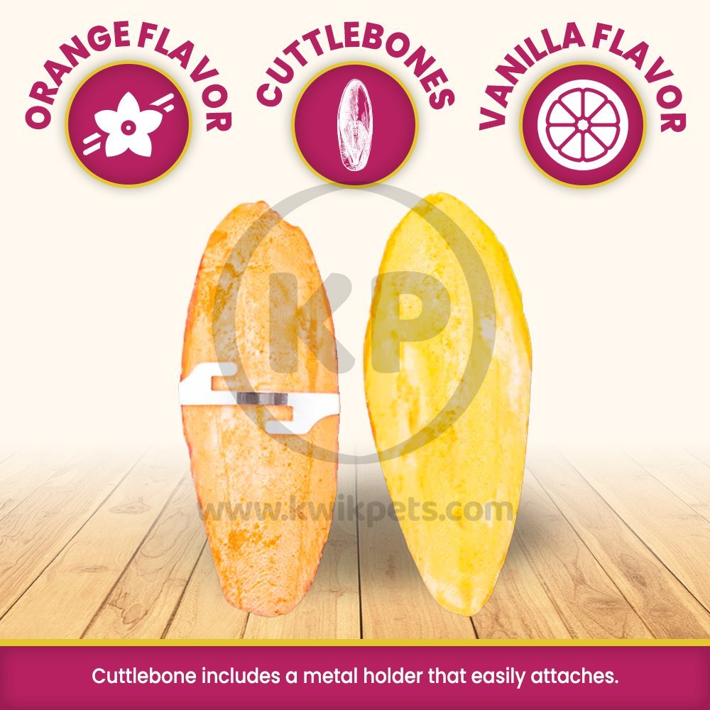 Prevue Pet Products Orange and Vanilla Flavored Cuttlebone, 4in, Prevue Pet Products