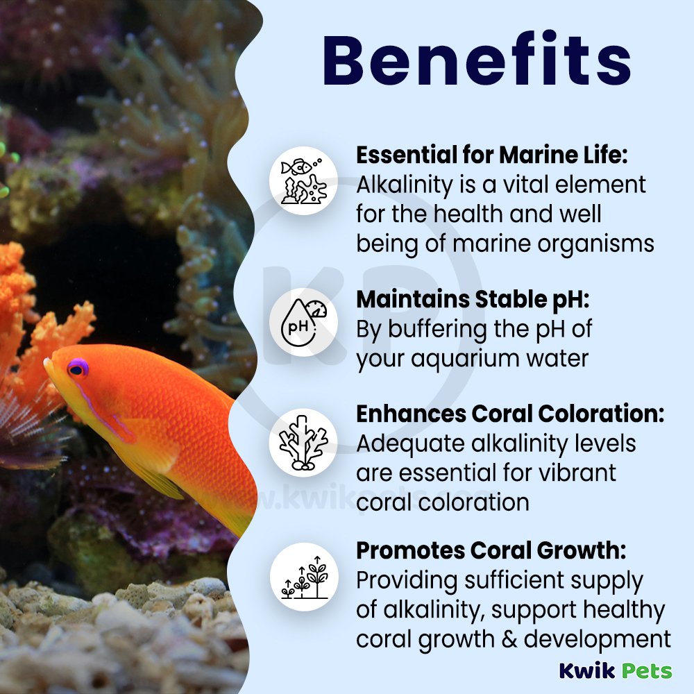 Benefits of Kent Marine Tech CB Part B Calcium Buffer System for Marine Aquariums 64-oz