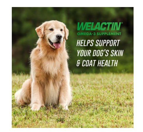 Nutramax Laboratories Welactin Omega-3 Fish Oil Skin Liquid Softgels Skin & Coat Supplement for Dogs 120 Count