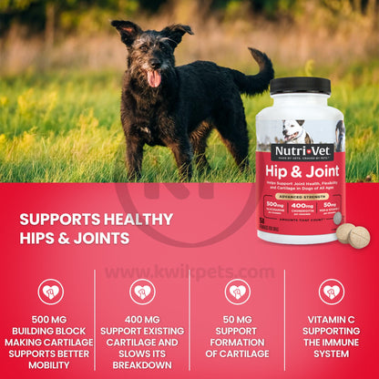 Health - Nutri-Vet Hip & Joint Advanced Strength Chewables for Dogs Liver 150 Count