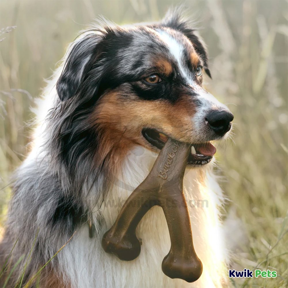 Benebone Wishbone Dog Chew Toy Peanut Butter Large, Kwik Pets
