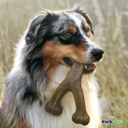 Benebone Wishbone Dog Chew Toy Peanut Butter Large, Kwik Pets