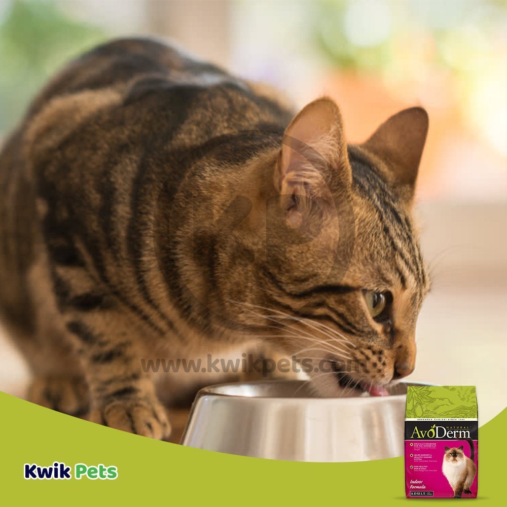 AvoDerm Natural Indoor Formula Adult Dry Cat Food - 11 Lb
