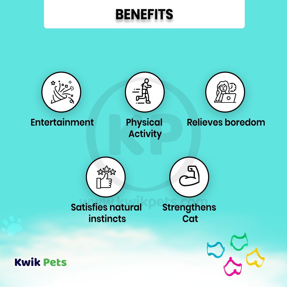 Benefits of Petmate Cat Crazies Interactive Cat Toys 4 Count
