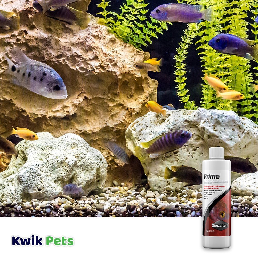 Seachem Prime Ammonia Detoxifier 250 ml For Fish