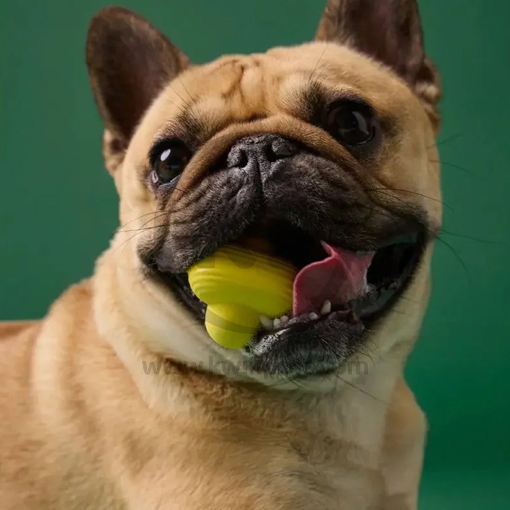 LifeStyle of Earth Rated Natural Rubber Dog Fetch Toy Yellow Medium