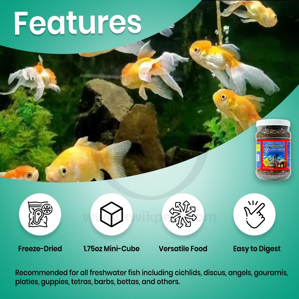 Features of San Francisco Bay Brand Bloodworms Freeze-Dried Fish Food