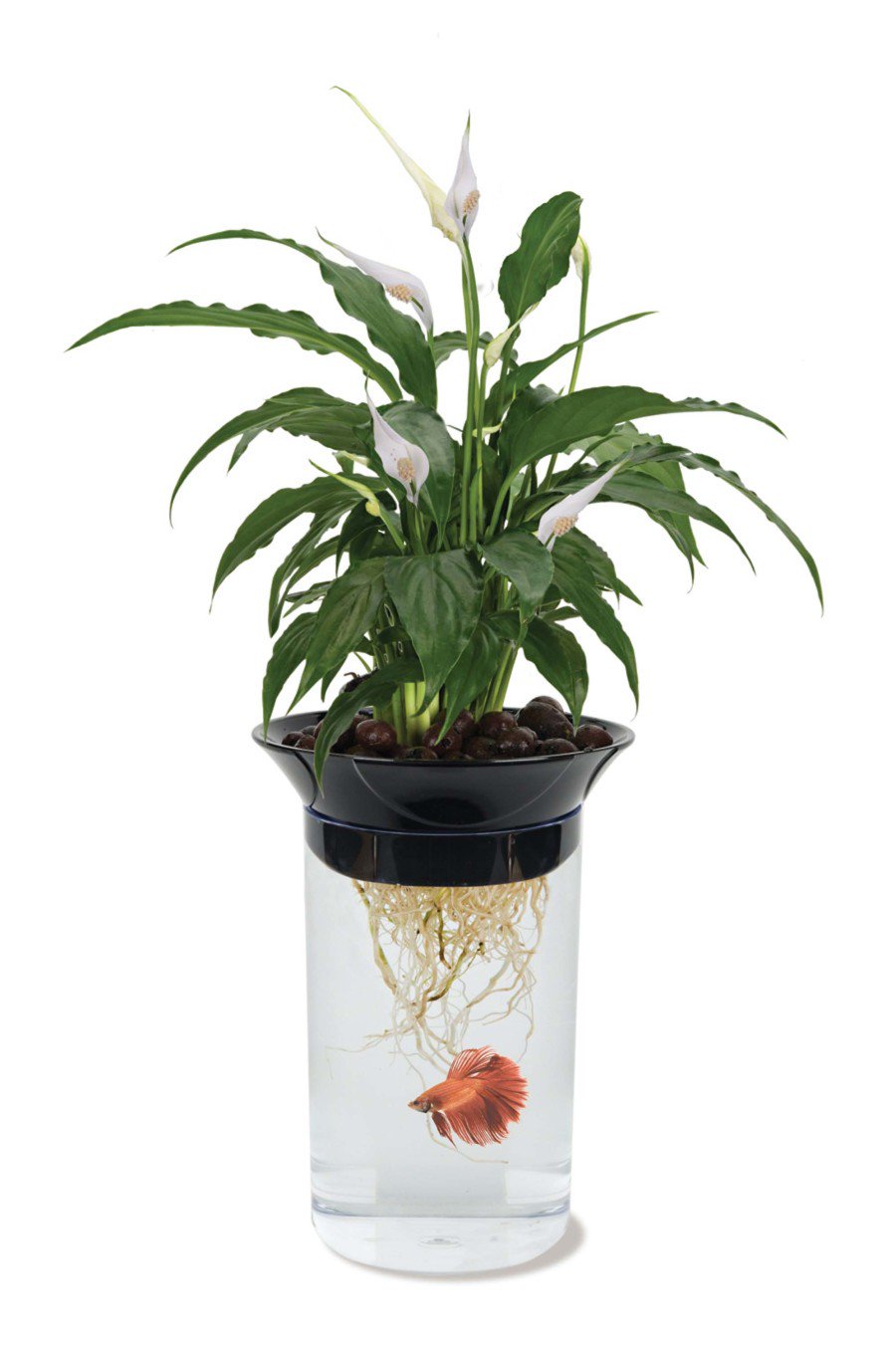 Penn-Plax Nature's Aqua-Ponics Planter Betta Bowl Aquarium Tank Kit for Plants & Fish, Kwik Pets