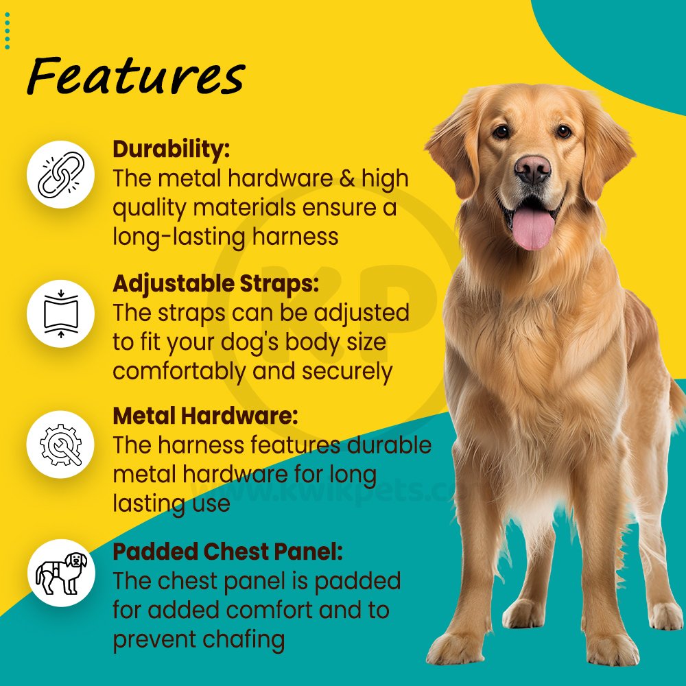 Features of PetSafe 3 in 1 Dog Harness Black Large