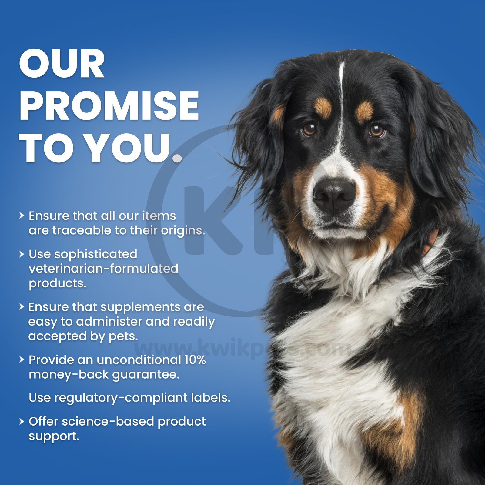 Nutri-Vet Senior-Vite Liver Chewables for Dogs Uses
