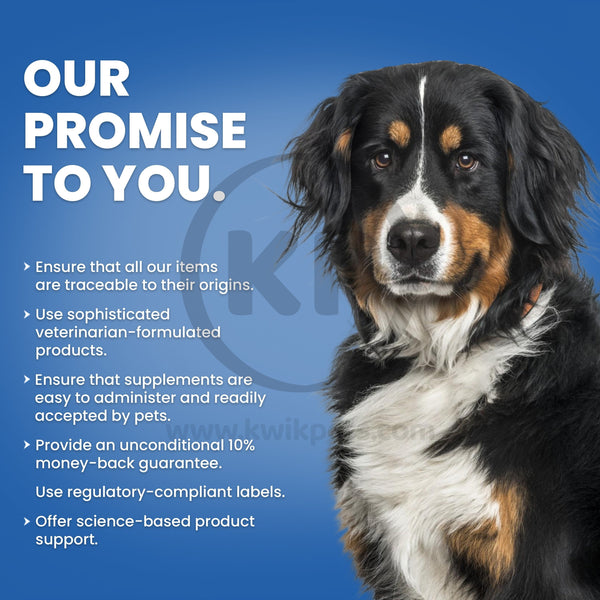 Nutri-Vet Senior-Vite Liver Chewables for Dogs Uses