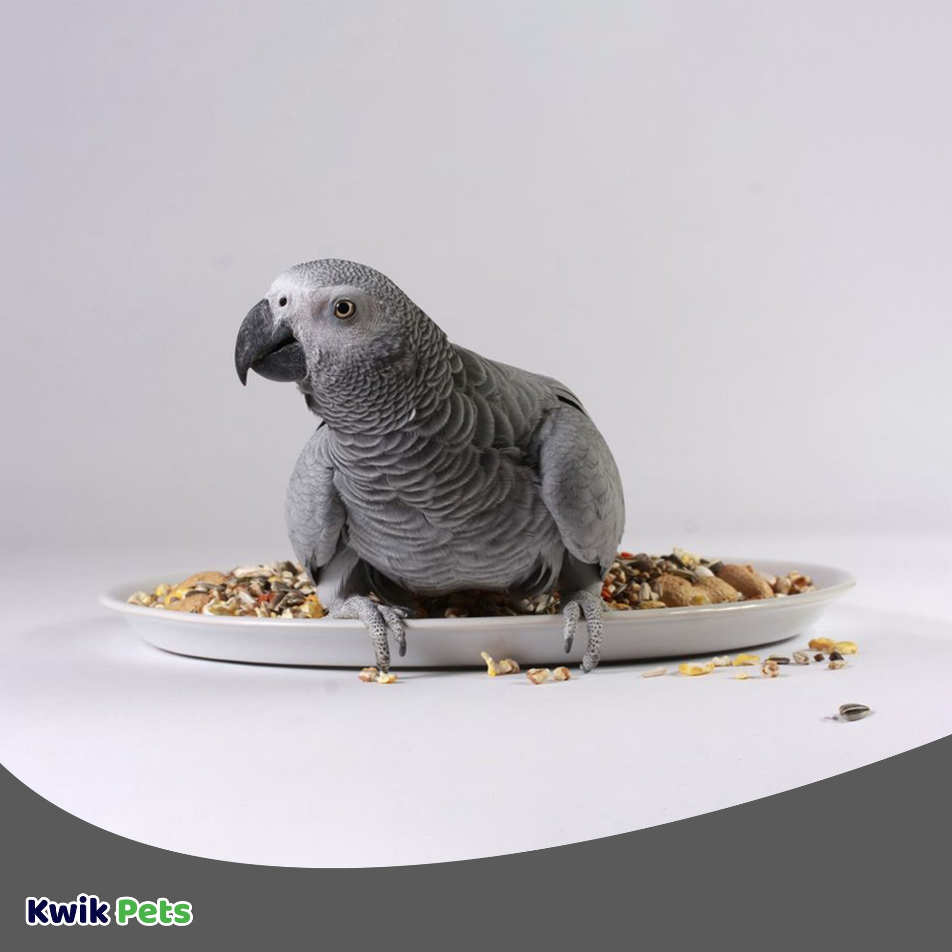 Volkman Seed Company Avian Science Super African Grey Parrot Bird Treat 20-lb, Volkman
