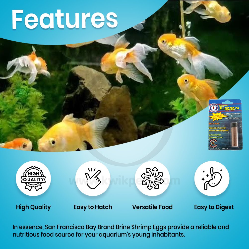 San Fransisco Bay Brand Brine Shrimp Eggs 6 gms Features