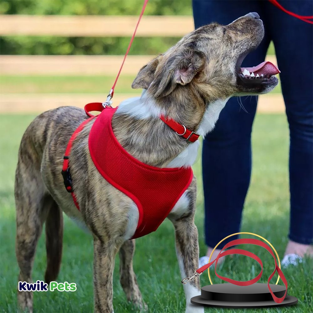 Coastal Single-Ply Nylon Dog Leash Red 5/8 in X 6 ft, Kwik Pets