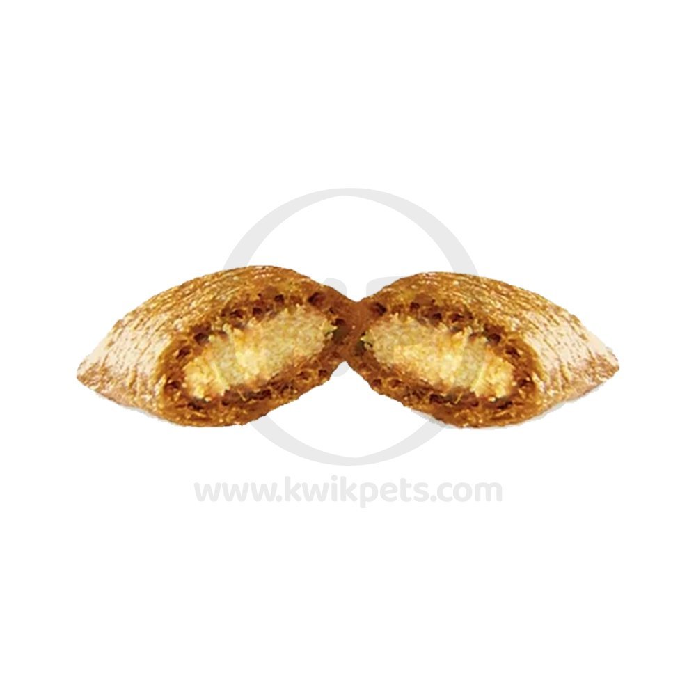 Temptations Classics Cat Treats Savory Salmon