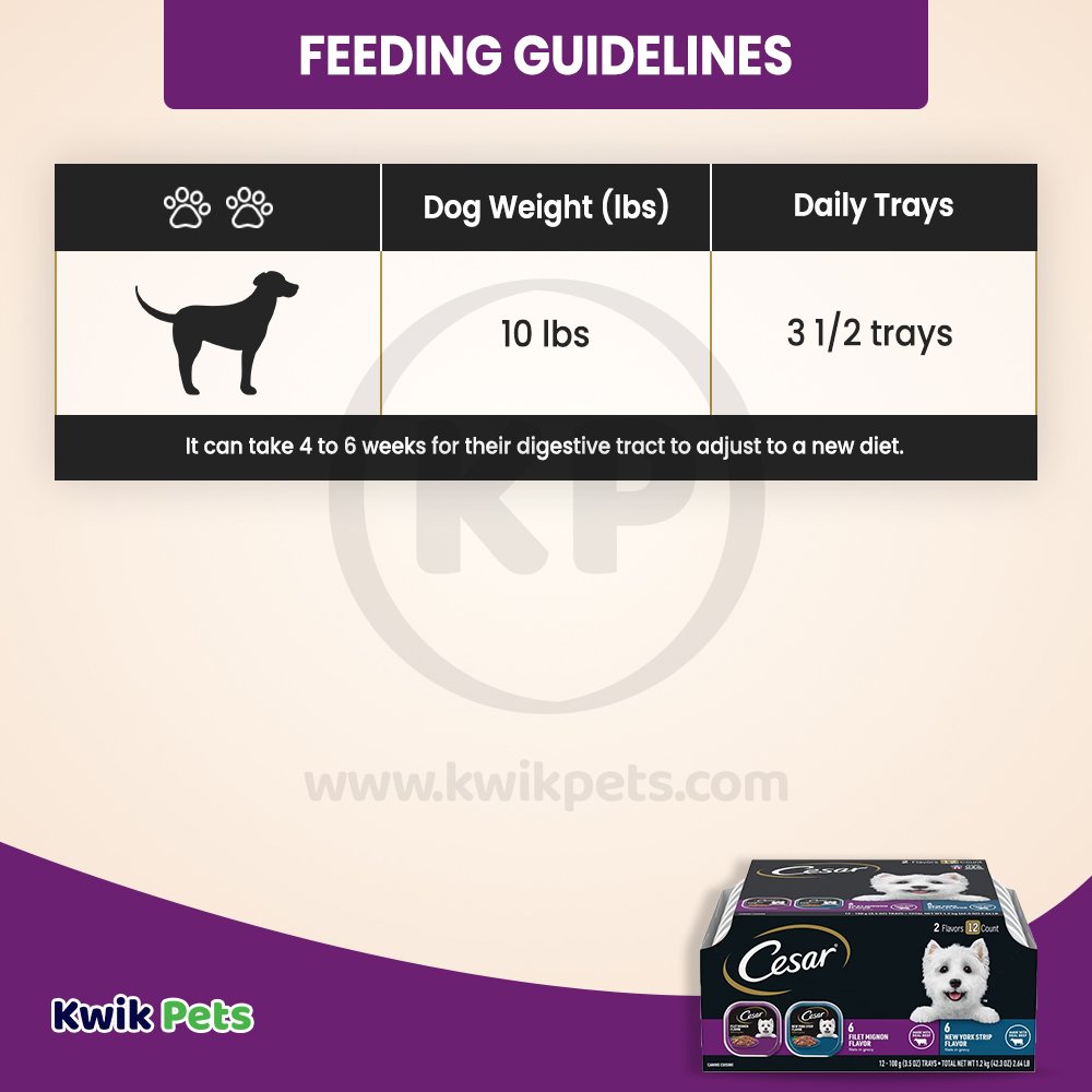 Cesar Filets in Gravy Adult Wet Dog Food Variety Pack Filet Mignon, New York Strip 12 Count 42.3-oz, Kwik Pets