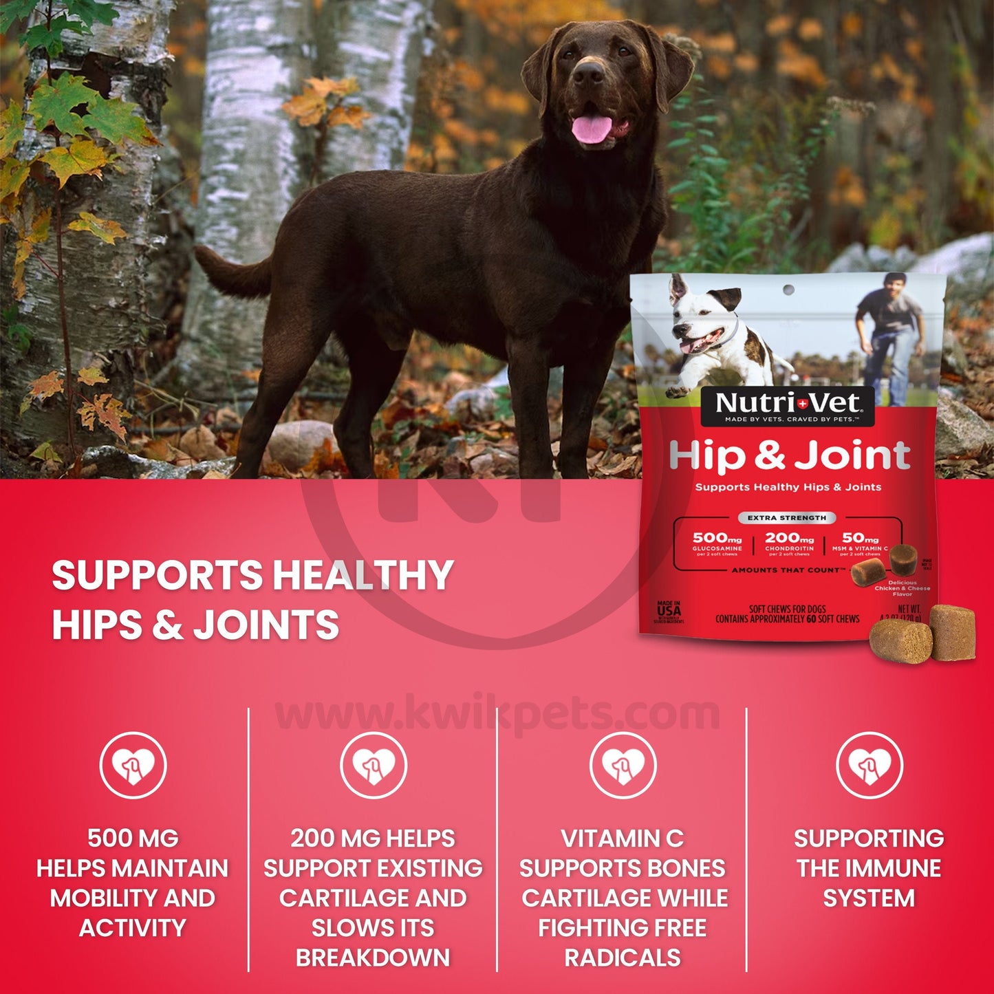Features of Nutri-Vet Hip & Joint Extra Strength Chicken & Cheese Soft Chews For Dogs 60 Count 4.2-oz