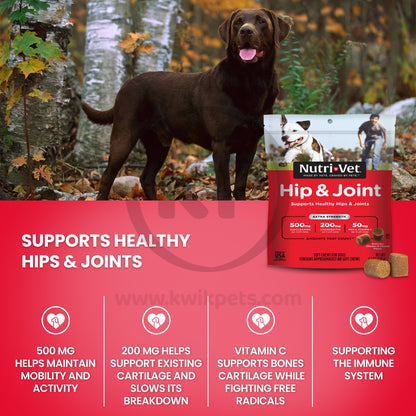 Features of Nutri-Vet Hip & Joint Extra Strength Chicken & Cheese Soft Chews For Dogs 60 Count 4.2-oz