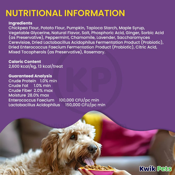 Cloud Star Dynamo Dog Tummy Functional Treats Pumpkin & Ginger 14-oz, Kwik Pets