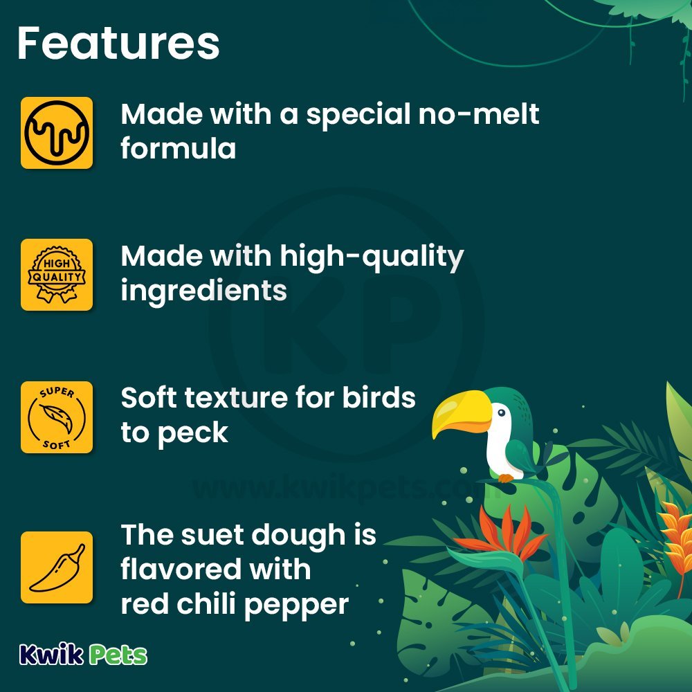 C&S Hot Pepper Delight No Melt Suet Dough for Wild Birds 11.75-oz, Kwik Pets
