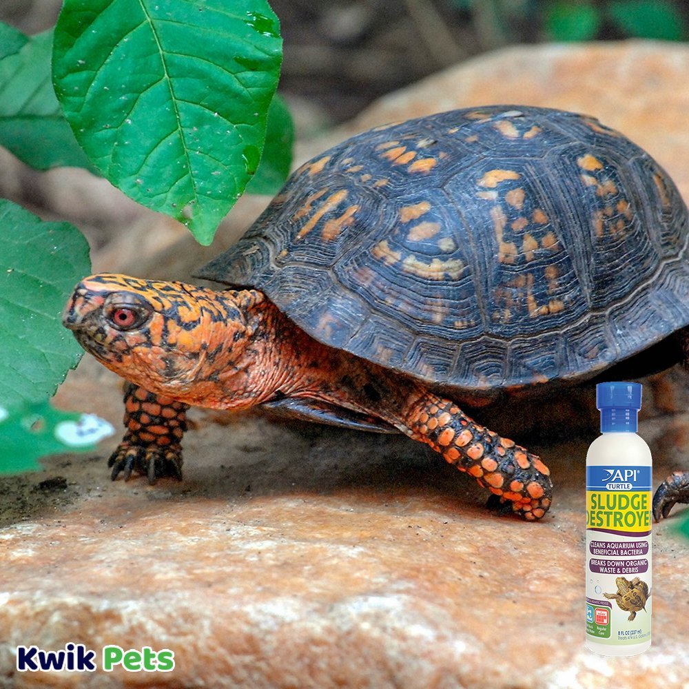 Image-Of-API-Turtle-Sludge-Destroyer-4-oz