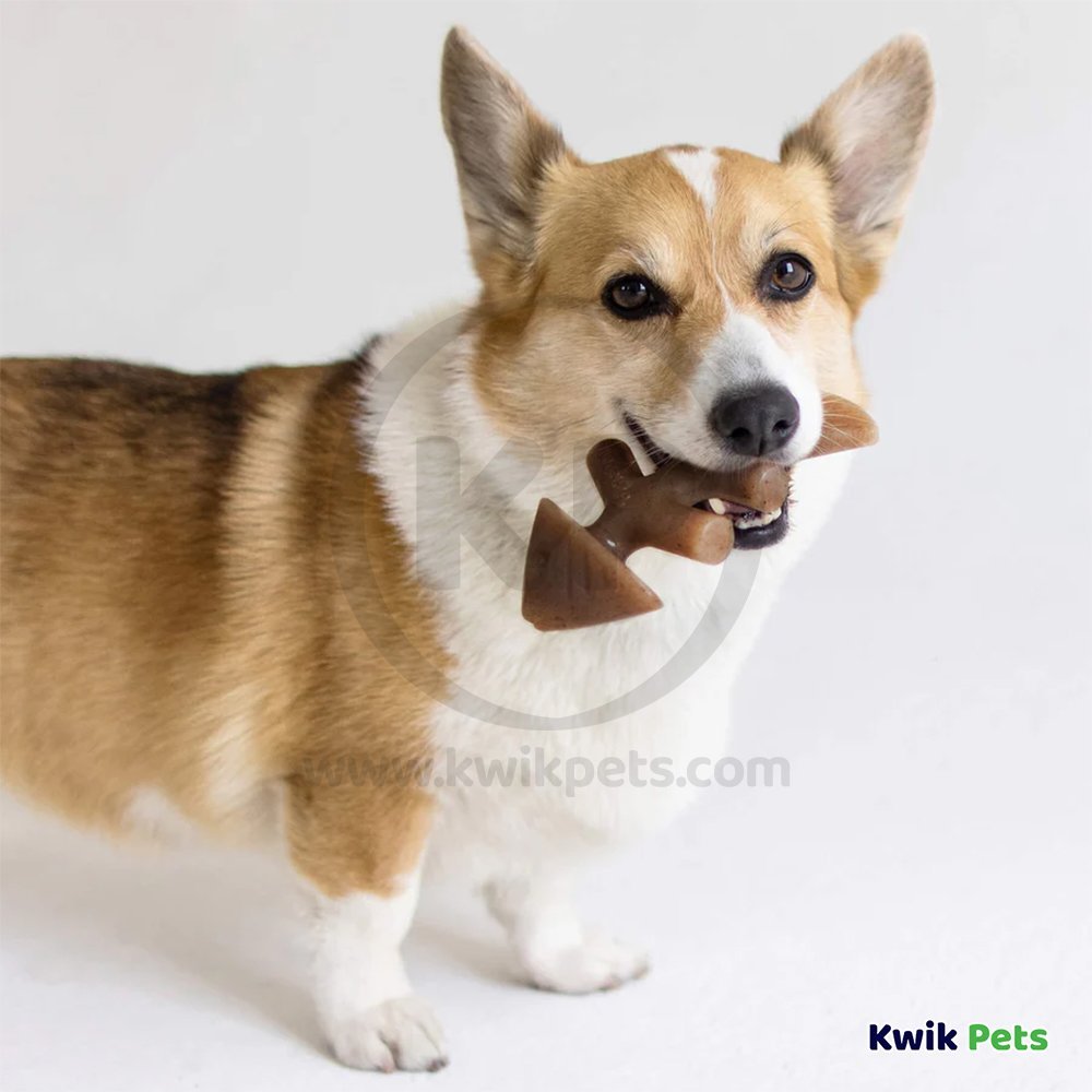 Benebone Jack Salmon Fishbone Dog Chew Toy Small, Kwik Pets