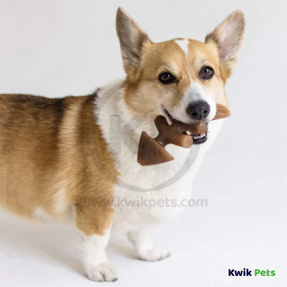 Benebone Jack Salmon Fishbone Dog Chew Toy Small, Kwik Pets