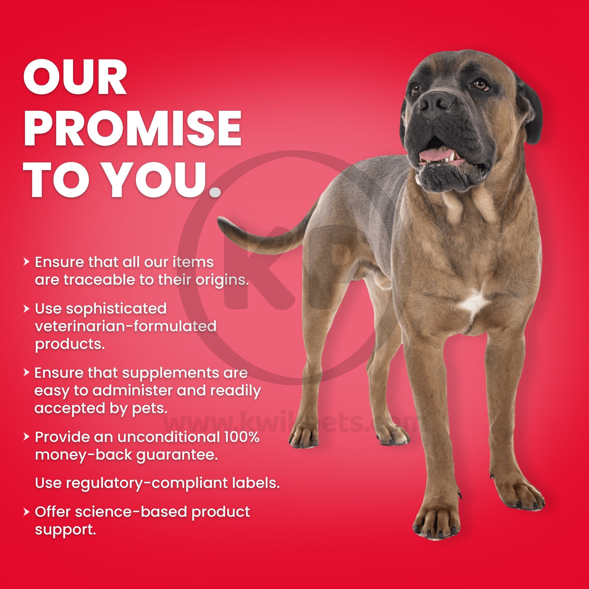 Guarentee - Nutri-Vet Hip & Joint Advanced Strength Chewables for Dogs Liver 150 Count