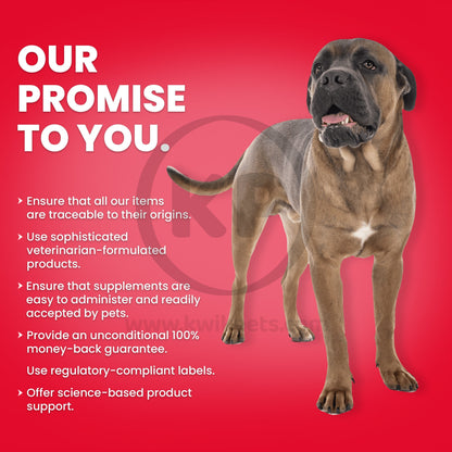 Guarentee - Nutri-Vet Hip & Joint Advanced Strength Chewables for Dogs Liver 150 Count