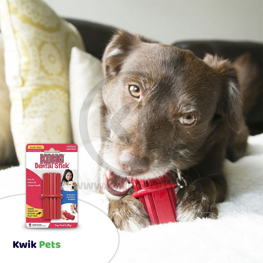 KONG Dental Stick Chew Dog Toy Small