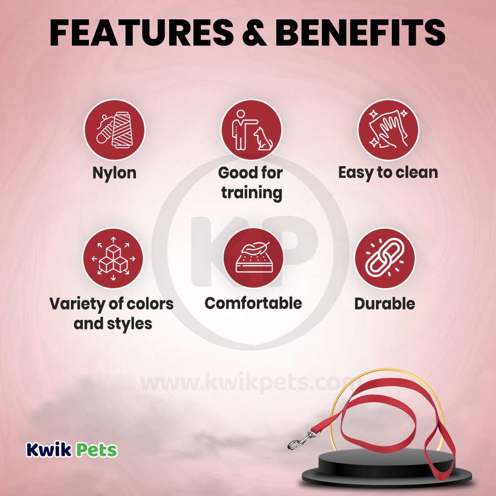 Coastal Single-Ply Nylon Dog Leash Red 5/8 in X 6 ft, Kwik Pets