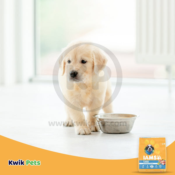 Dog Image of IAMS Smart Large Breed Puppy Dry Dog Food Real Chicken 30.6-lb