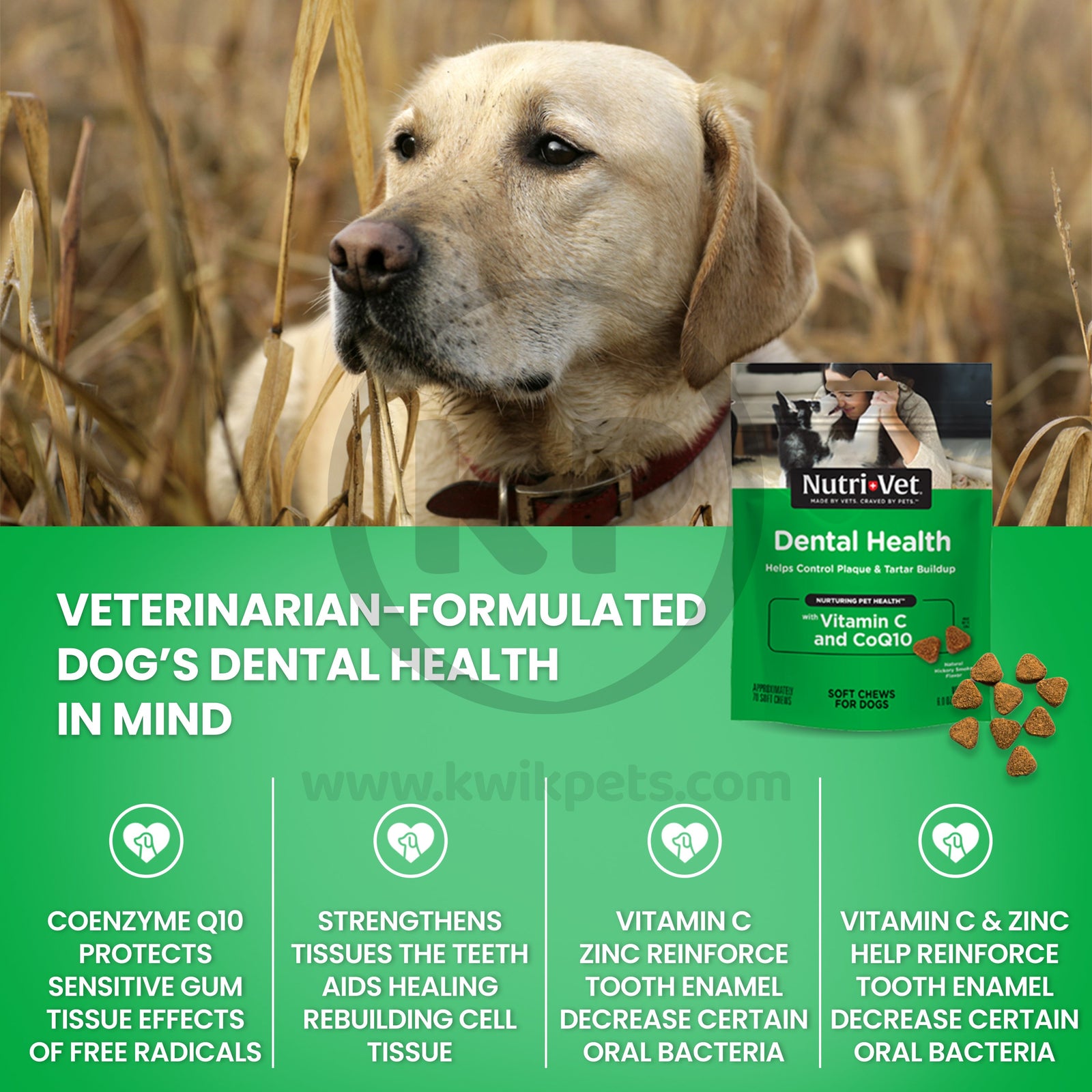 Nutri-Vet Dental Health Soft Chews for Dogs Hickory Smoke, 70ct, Nutri-Vet