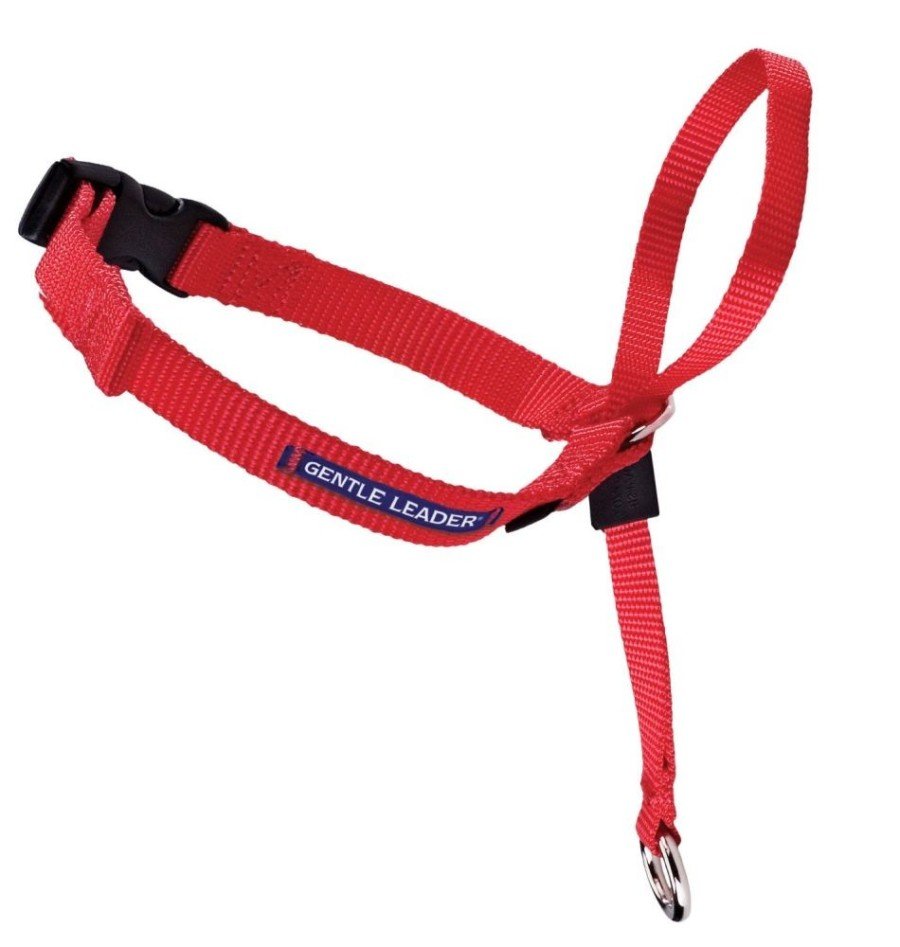 PetSafe Gentle Leader No-Pull Dog Headcollar Red Medium, Kwik Pets