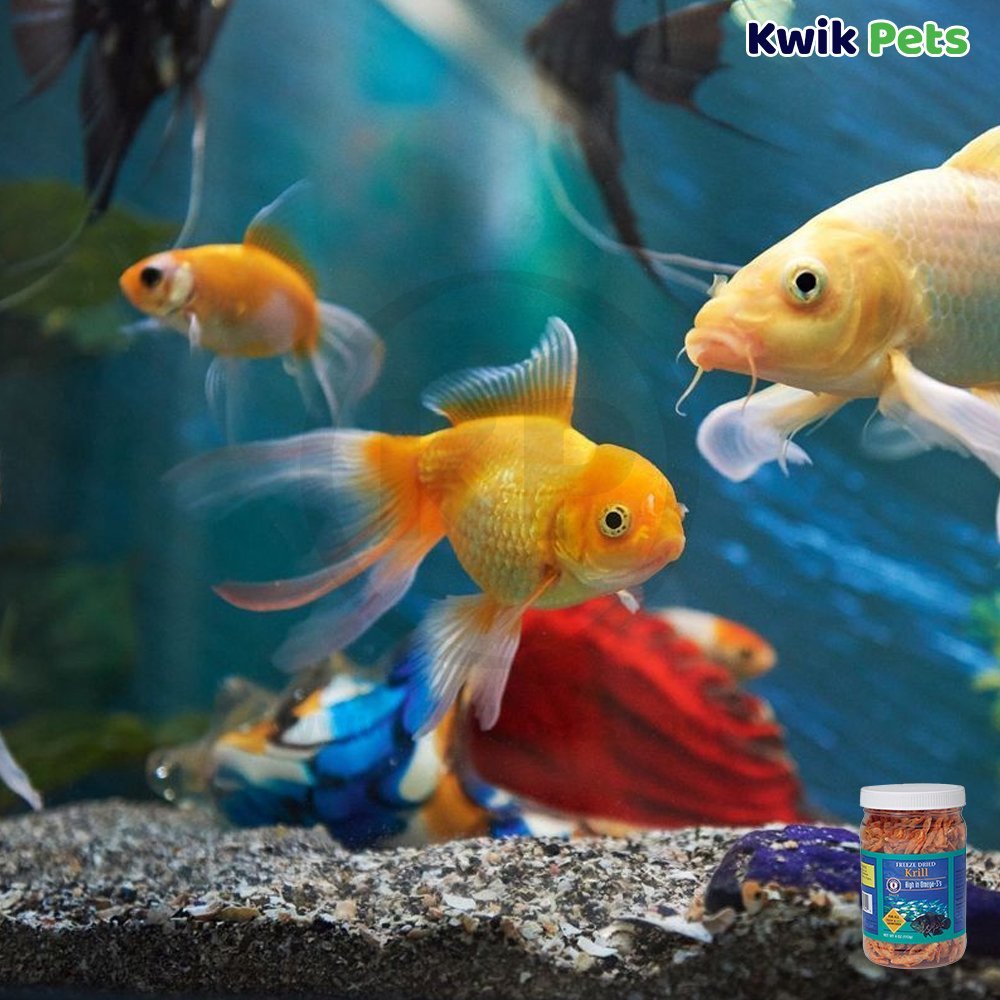 San Francisco Bay Brand Krill Freeze-Dried Fish Food 4-oz