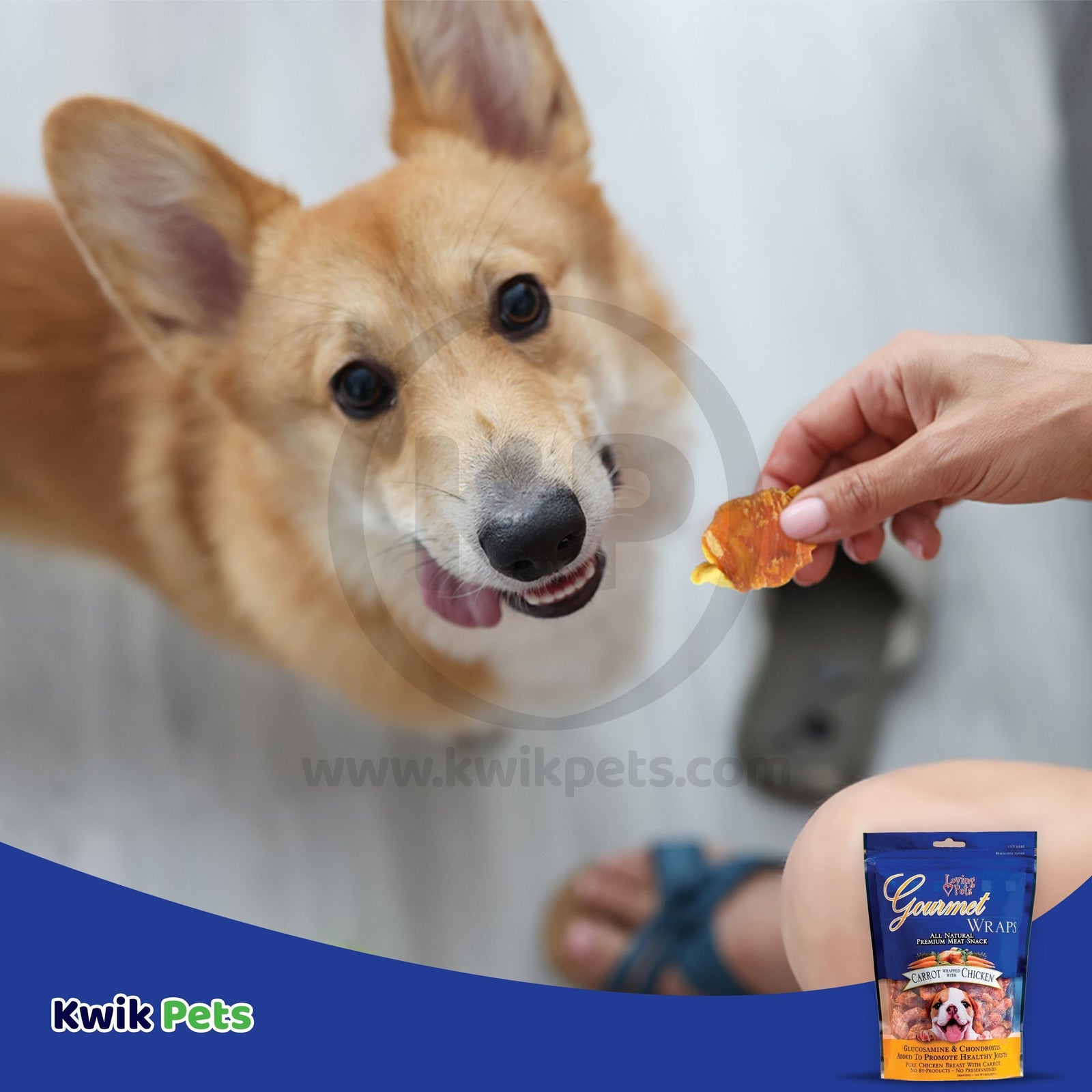 Loving Pets Gourmet Wraps Dog Treat Carrot & Chicken