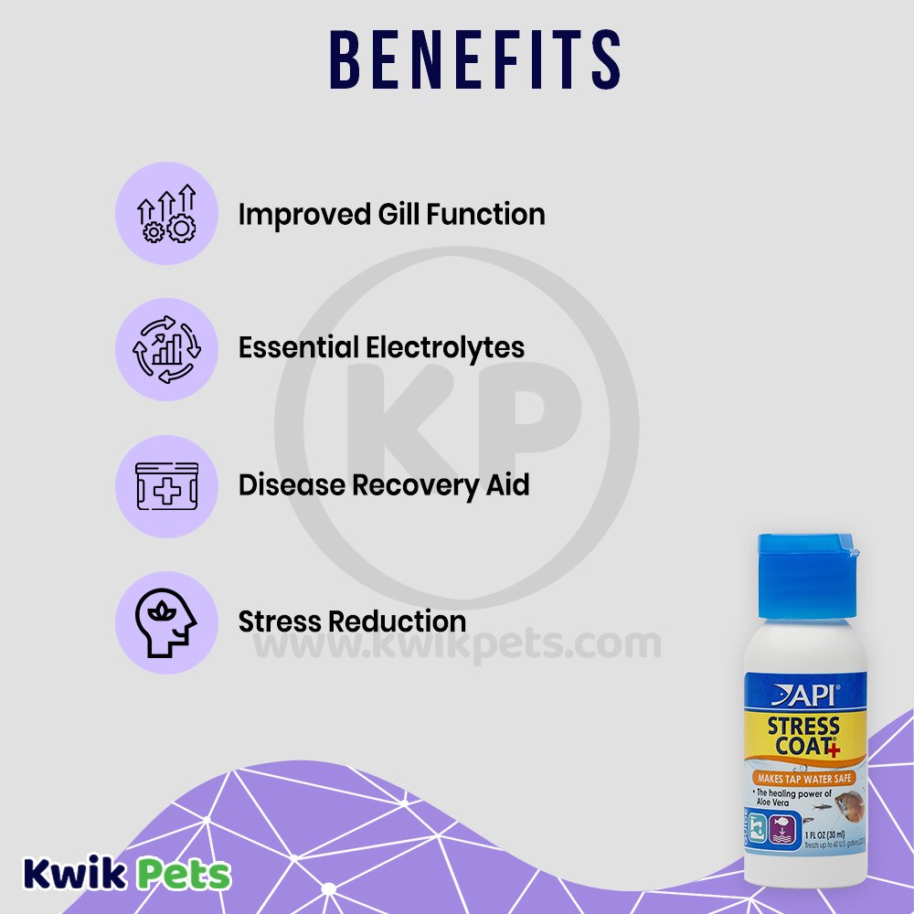 Benefits-Of-API-Stress-Coat-Remedy-No-Pump-1-oz