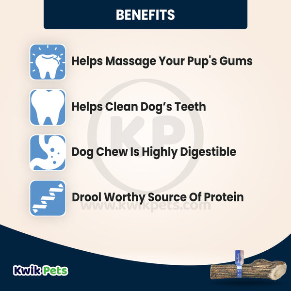 Benefits of Barkworthies Split Elk Antler XL Breed Dog Chews