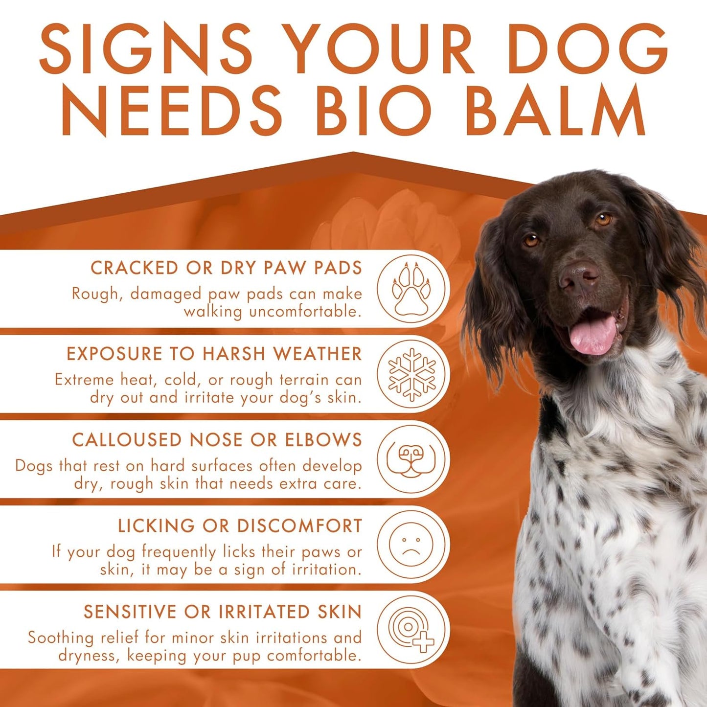 Dermoscent Bio Balm Skin & Paw Soother For Dogs 1.67-oz
