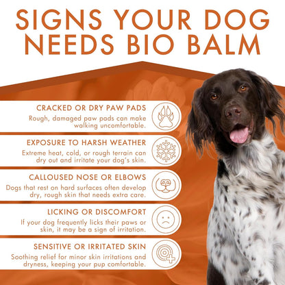Dermoscent Bio Balm Skin & Paw Soother For Dogs 1.67-oz